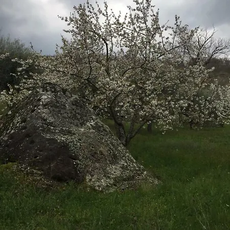 Giardino Di Potentino *