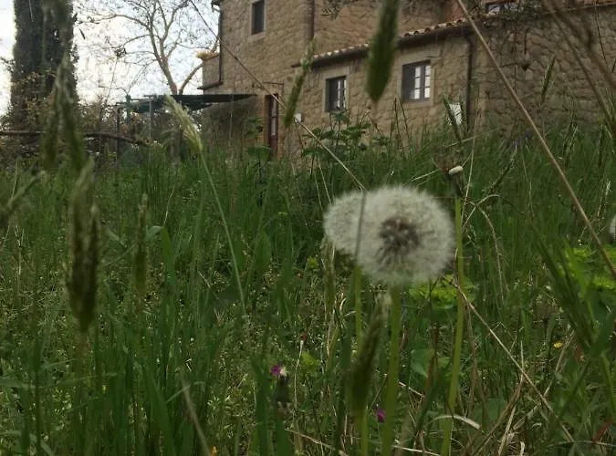 Giardino Di Potentino Appartamento *